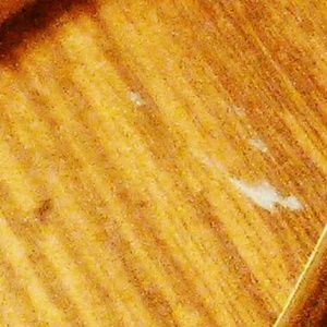 Meet your Posher, Alisha